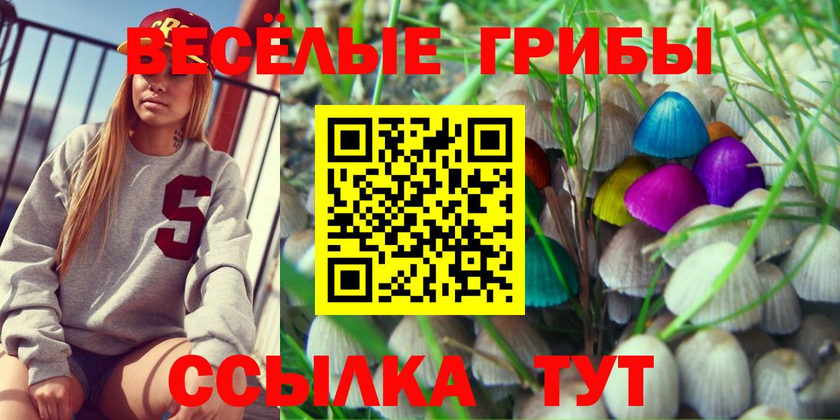 Псилоцибиновые грибы GOLDEN TEACHER Коломна