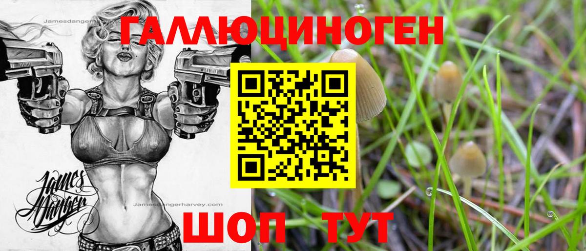 Коломна  Псилоцибиновые грибы Psilocybine cubensis  Вход с VPN 